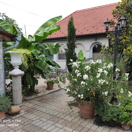Lavendel Apartman Harkány Екстериор снимка